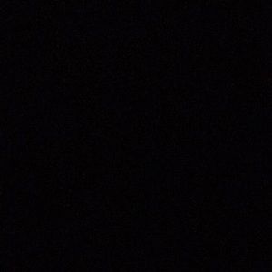 Meet your Posher, Elizha